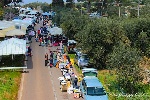 salignano - festa san giuseppe 2016 - foto g. candido