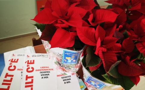 "UNA STELLA PER LA SPERANZA" - Dal 6 all'8 dicembre VOLONTARI LILT LECCE in piazza per la 33esima Campagna di solidarietà a sostegno dei servizi gratuiti di PREVENZIONE e ASSISTENZA ONCOLOGICA