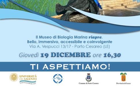 RIAPRE IL MUSEO DI BIOLOGIA MARINA DI PORTO CESAREO_ACCESSIBILE IMMERSIVO INTERATTIVO E COLORATO